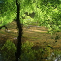 P7310017