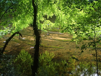 P7310017