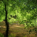 P7310016