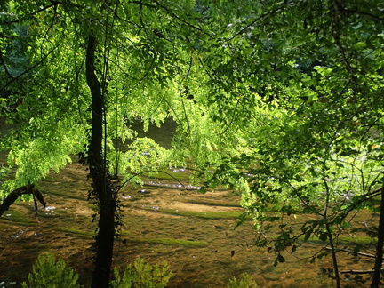 P7310016