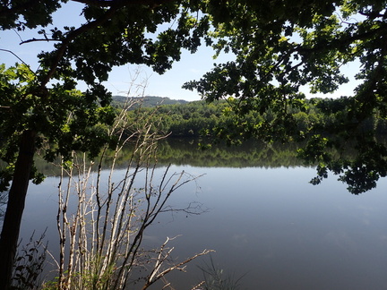 P8040006