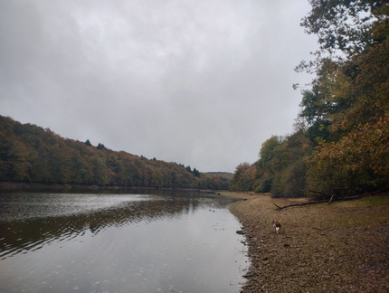IMG 20251101 121329904 HDR