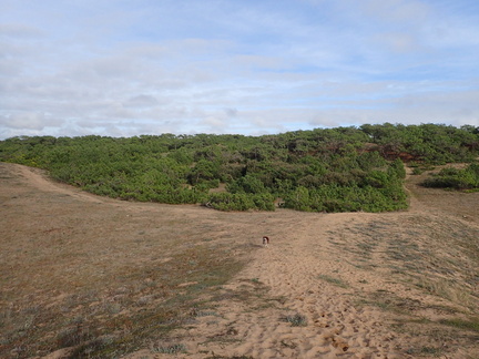PA300180
