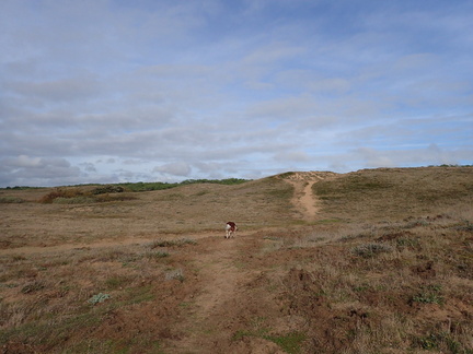 PA300178