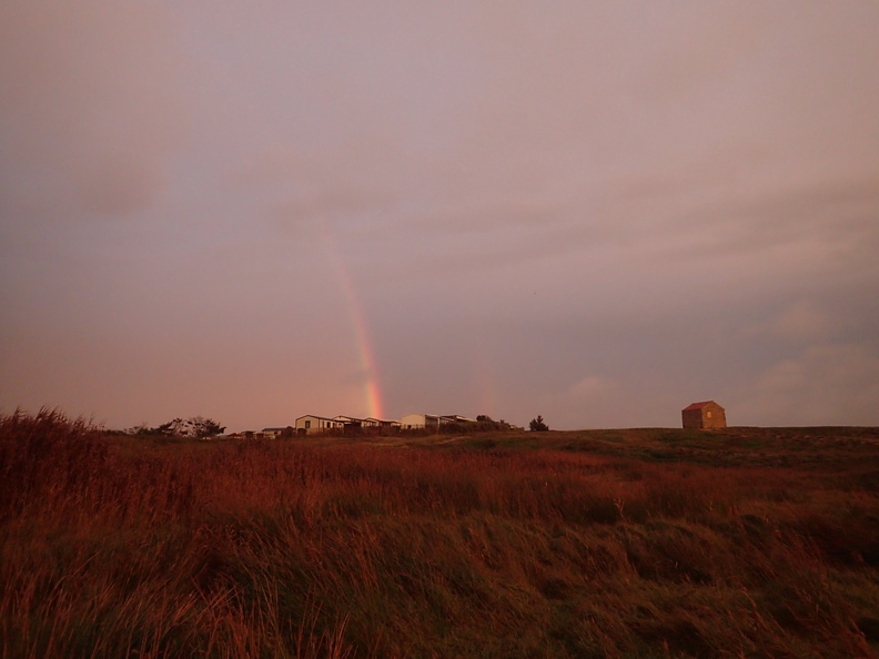 PA290095.JPG