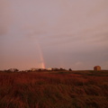 PA290095