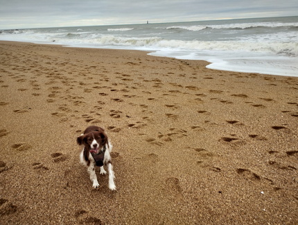 IMG 20251028 163951335 HDR