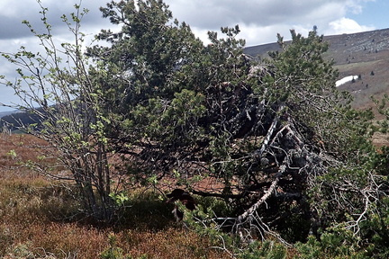 P5270040