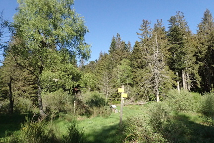 P5200046