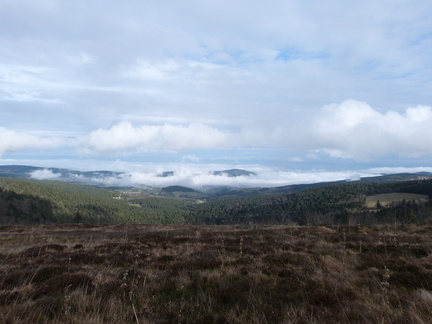 P1020289