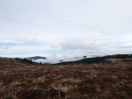 P1020285