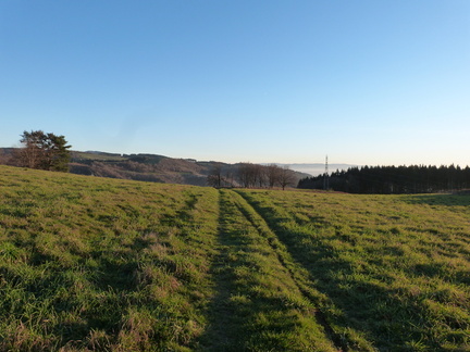 P1020405