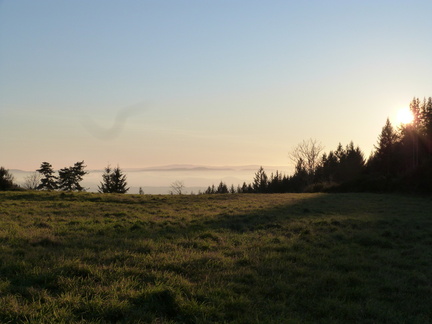 P1020401