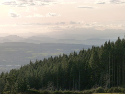 P1020571
