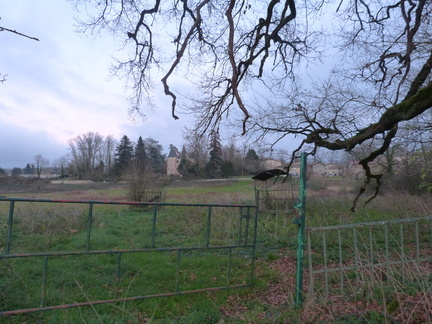 P1030311