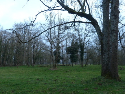 P1030278