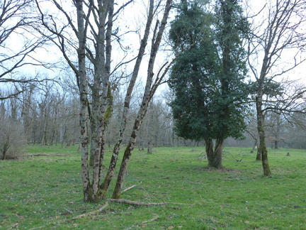 P1030276