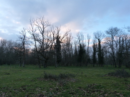 P1030262