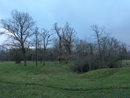 P1030259