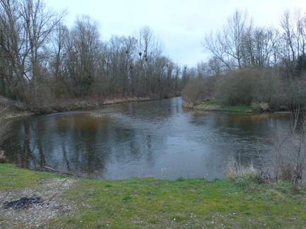 P1030252