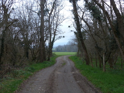 P1030240