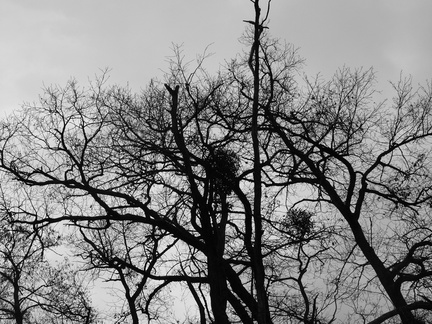 P1030231
