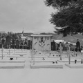 P1030961
