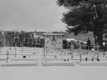 P1030961