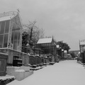 P1030959