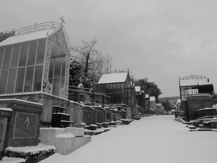P1030959