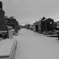 P1030951
