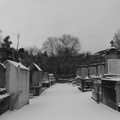 P1030950