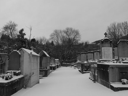 P1030950
