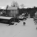 P1030949