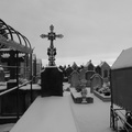 P1030921