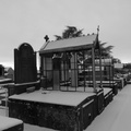 P1030919
