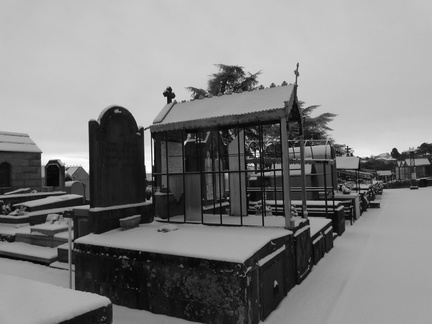 P1030919