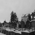 P1030918