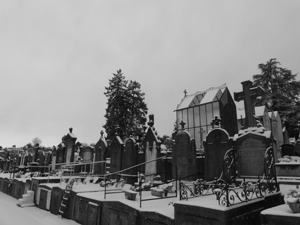 P1030918