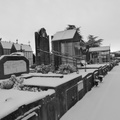 P1030917