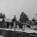 P1030914