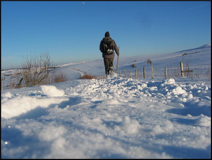 89322606 2f7af5b551 h