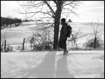 70023886 1e9625a565 c