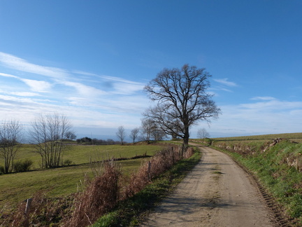 P1040821