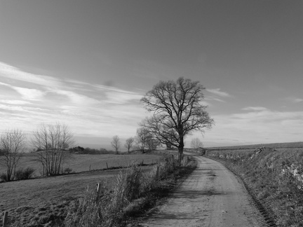 P1040820