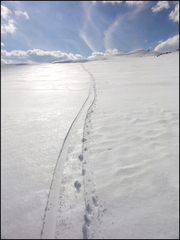 dh---iris-de-la-loupette-dcouvre-le-ski-alpin 13476175083 o