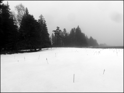 dh---3-janvier-2014 12476169364 o