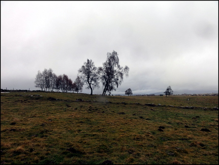 dh---3-janvier-2014 12475804773 o