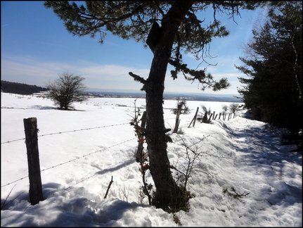 iris-et-capou-font-du-ski-de-fond-sans-ski-en-fort-de-cezens-lundi-10-mars-2014 13069611824 o