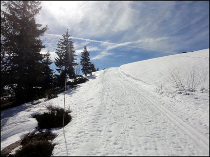 dh---skis-alta-hok--prat-de-bouc 13274488264 o